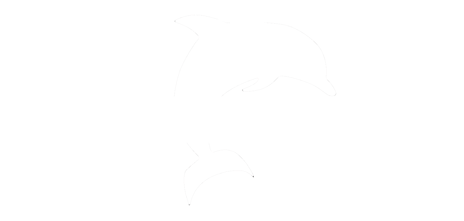 Dolphin Creative